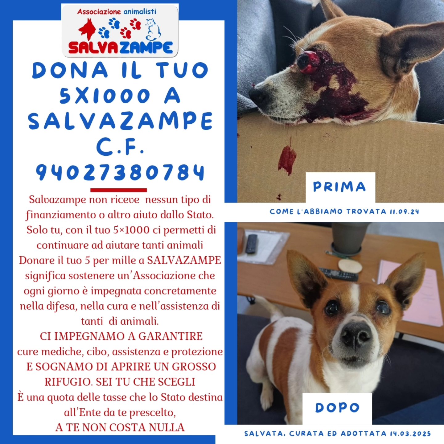 5x1000 Cirinella