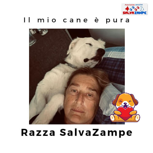 Adozione1