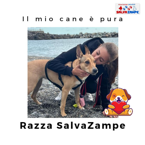 Adozione2