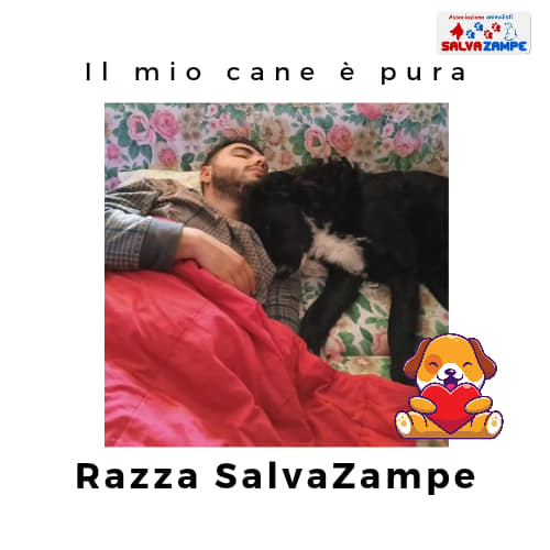 Adozione10