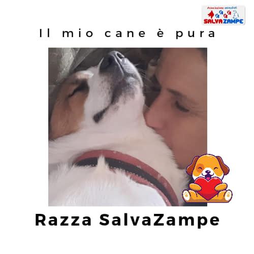 Adozione19