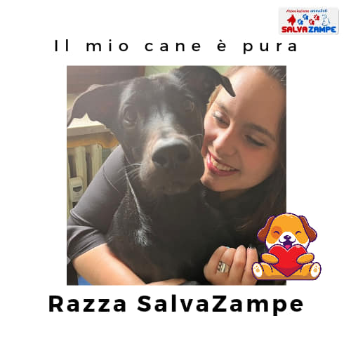 Adozione24