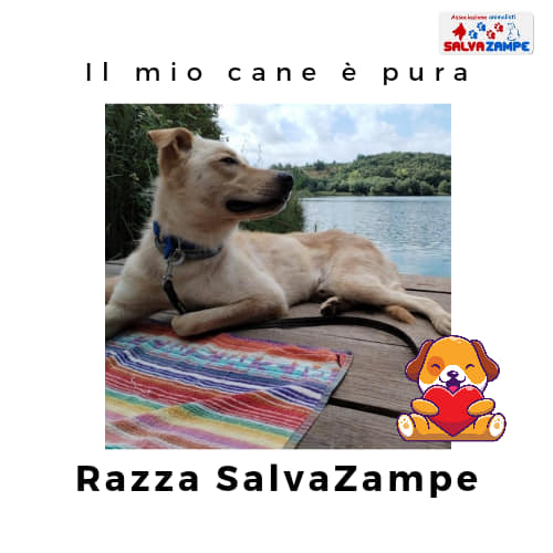 Adozione32