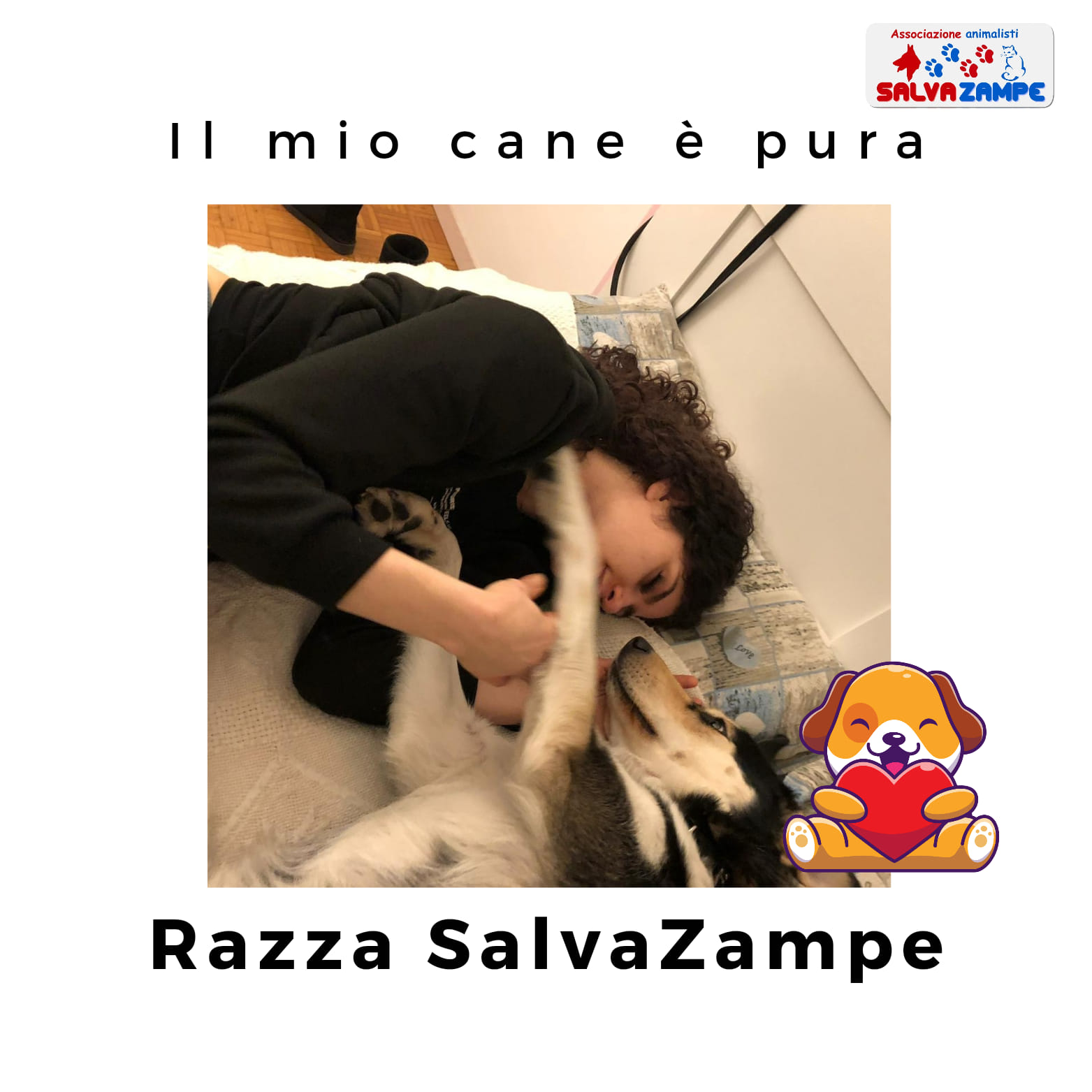 Adozione34