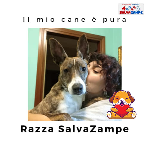 Adozione35