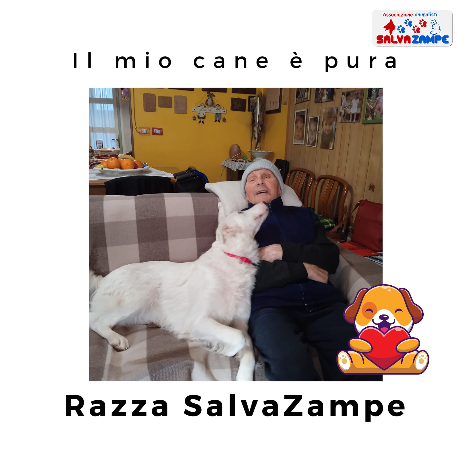 Adozione40