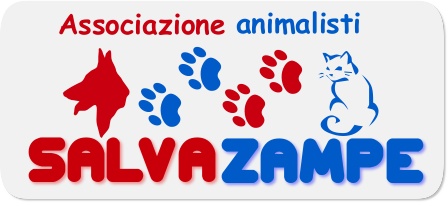 logosalvazampe