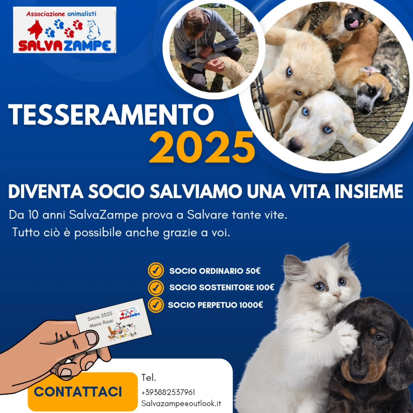 tesseramento